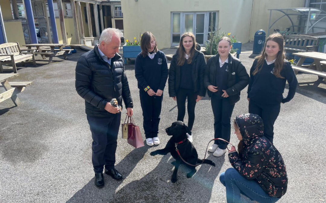 Luna – Award Winner Life Changing Dog Category
